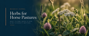 herbs for horse pastures