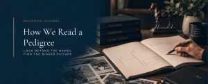 how we read a pedigree