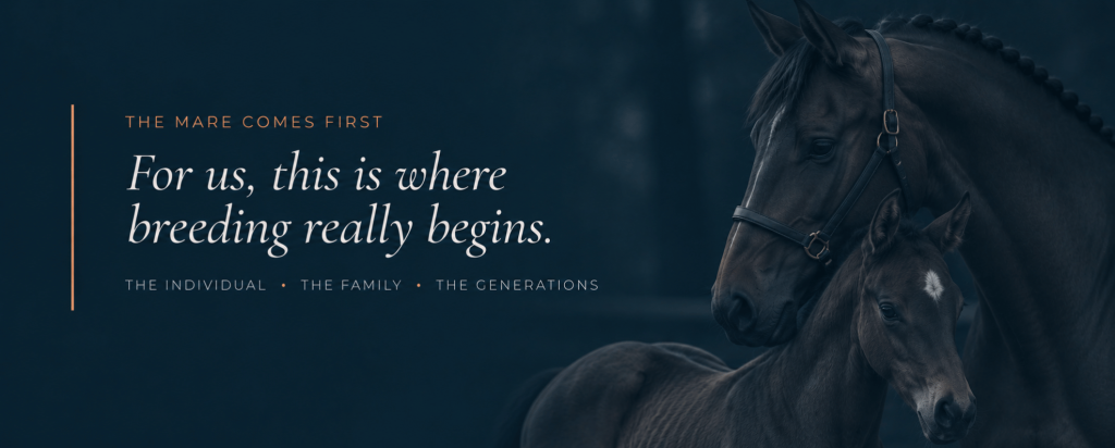 mare comes first