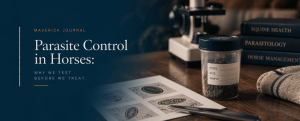 parasite control in horses
