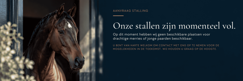 Contact | Maverick Stables stable enquires 2 1