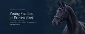 young stallion or proven sire