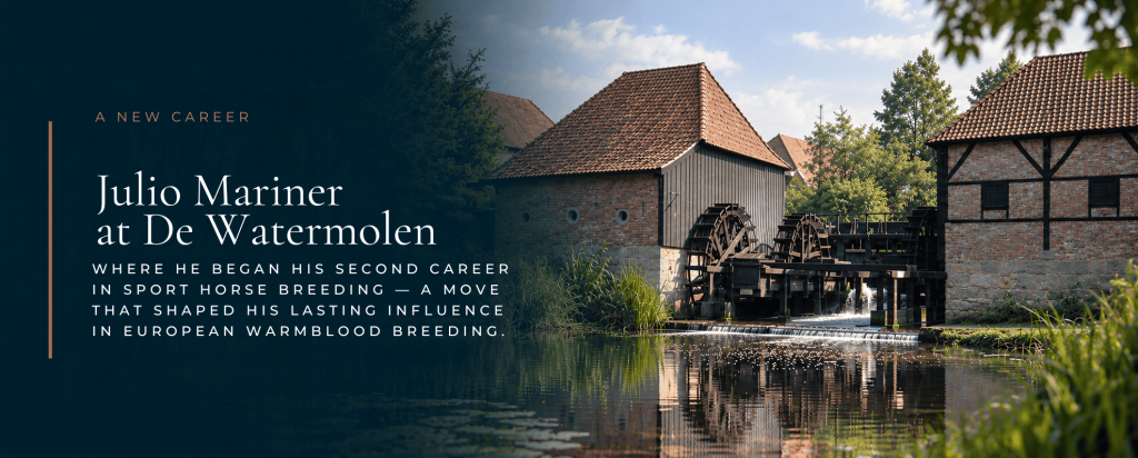 Julio Mariner at De Watermolen 1