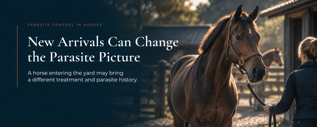 New Arrivals Can Change the Parasite Picture